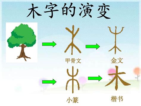 木字旁羽|栩字的意思,栩怎么读,木字旁加一个羽读什么,栩的部首笔画及拼音。